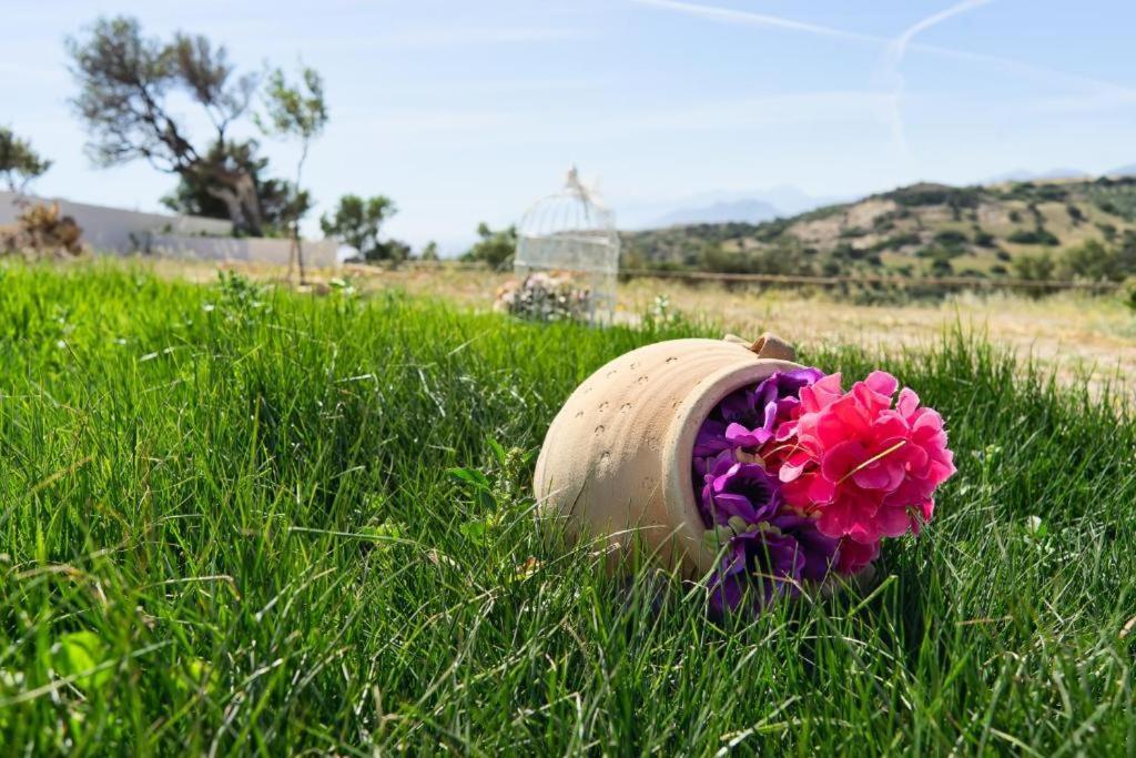 Emmanuela House With Garden & Sea View - Triopetra 아파트 외부 사진